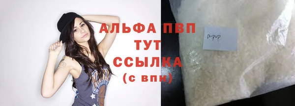 гашик Липки